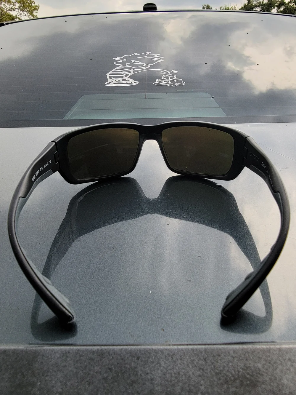 Costa Sunglasses
